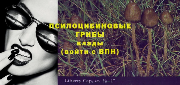 индика Пестово